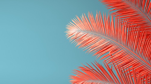 时尚棕榈